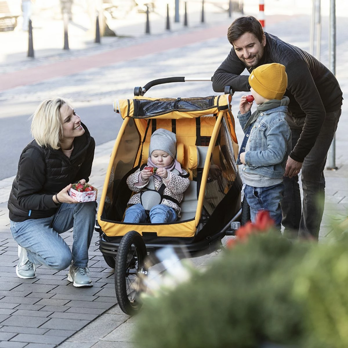 XLC Remorque Enfant Mono S 20" Gris/orange – Image 2